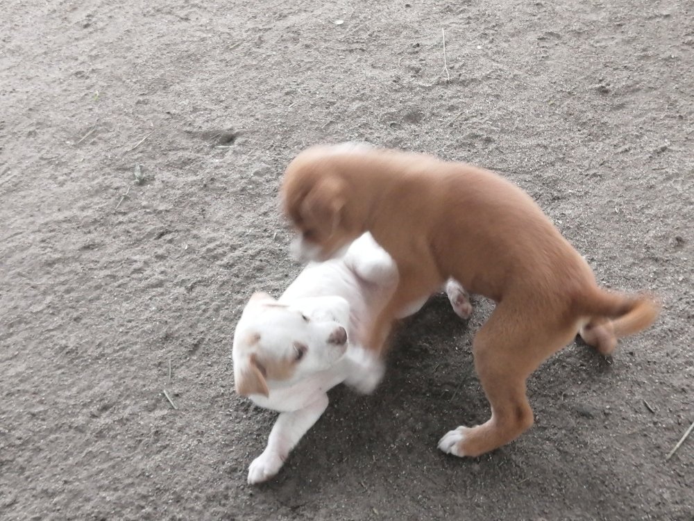 Photo #3825925