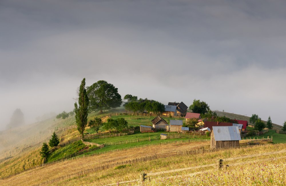 Morning in Bucovina