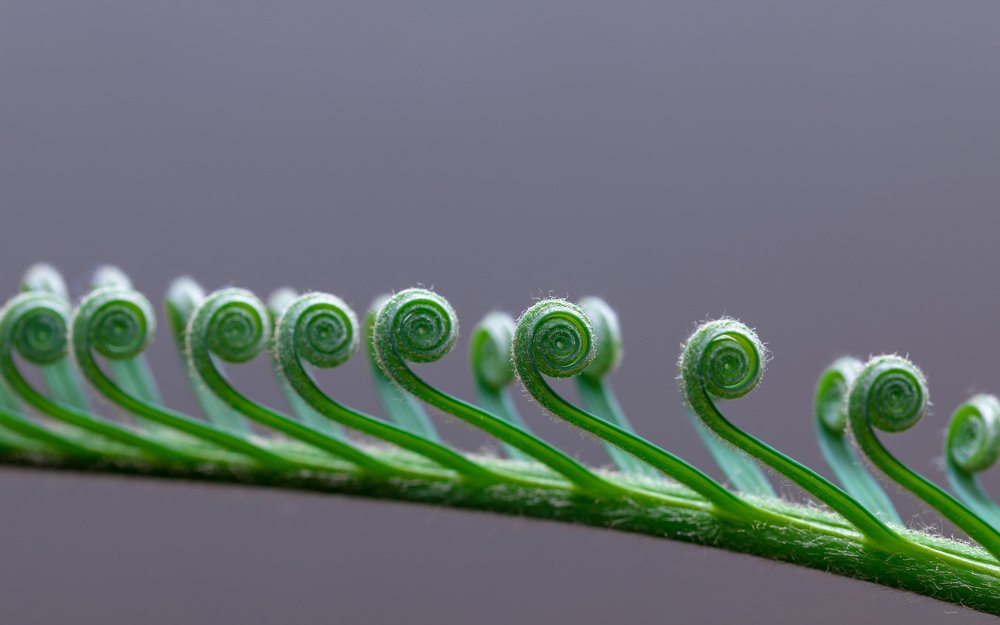 Photograph by Евгения Чех