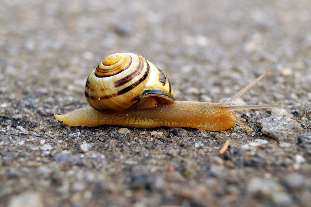 Photograph by Danyliuk Ruslan