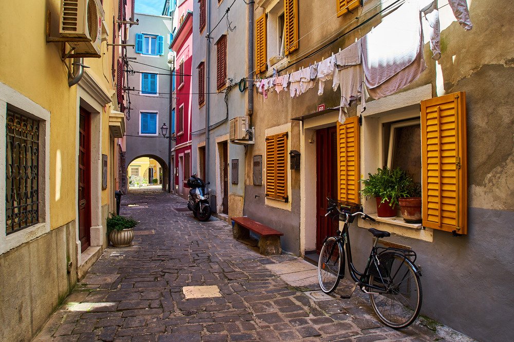 Фотография автора David Solodar