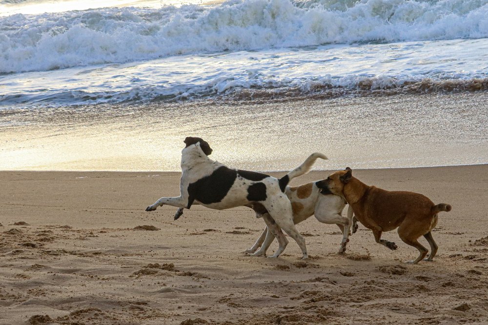 Photograph by Andreson Dutra