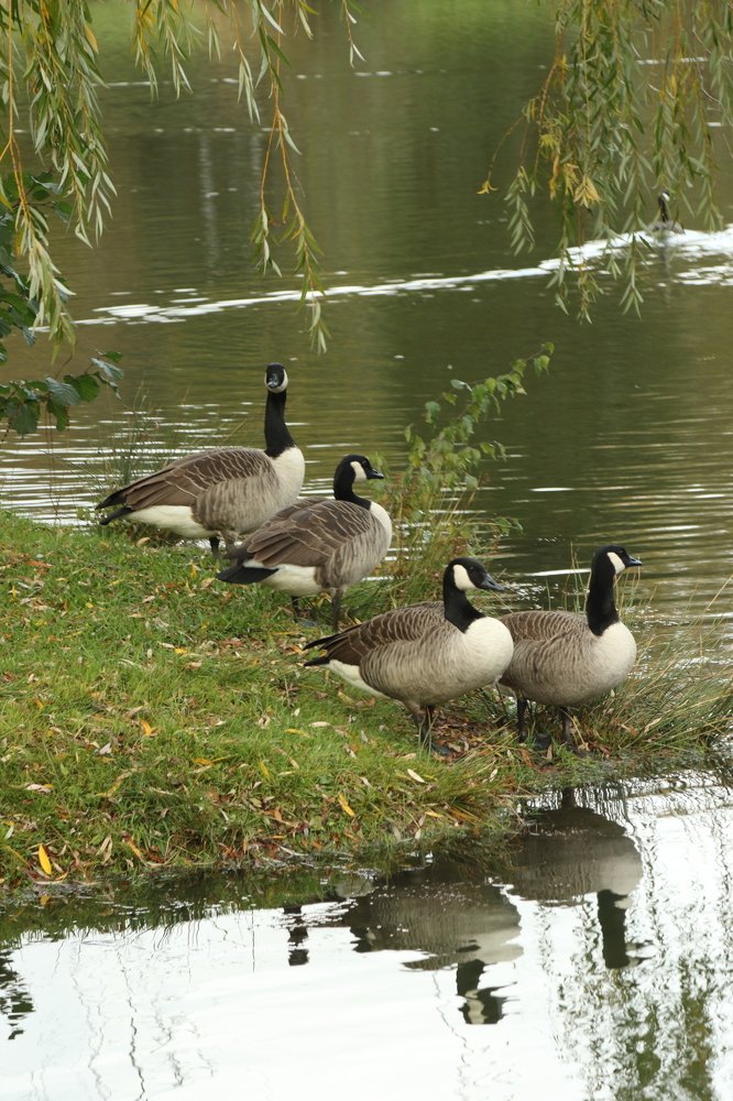 Photograph by Eduard Mezker