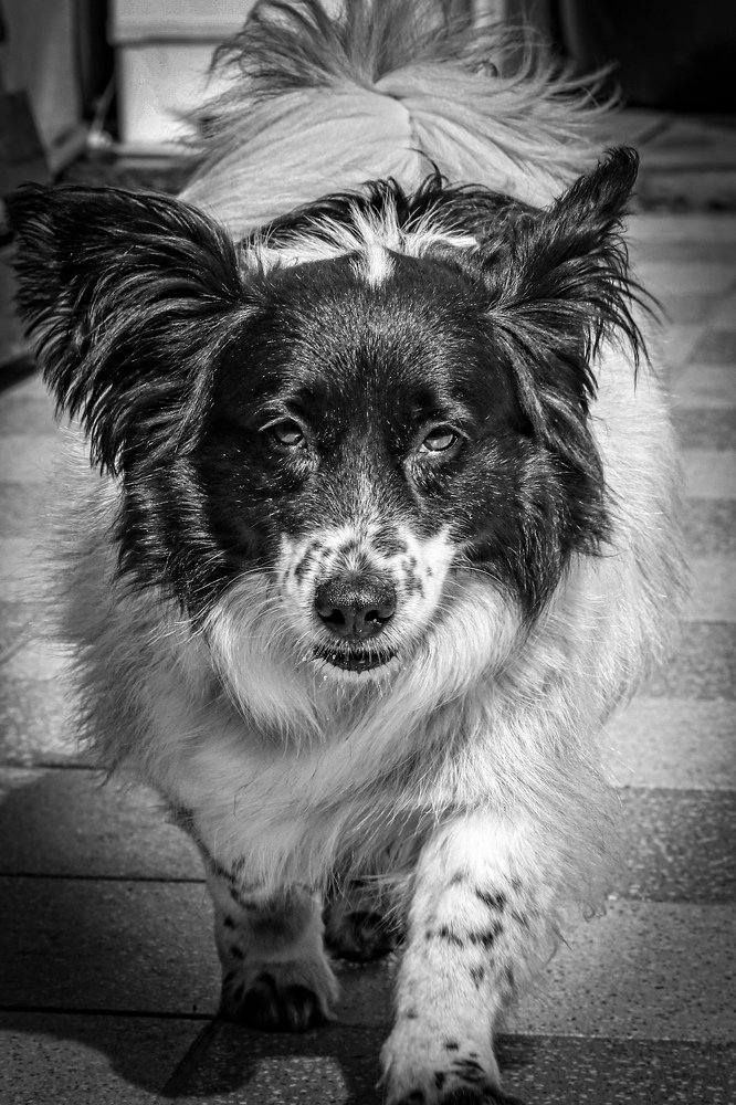 Photograph by Andreson Dutra