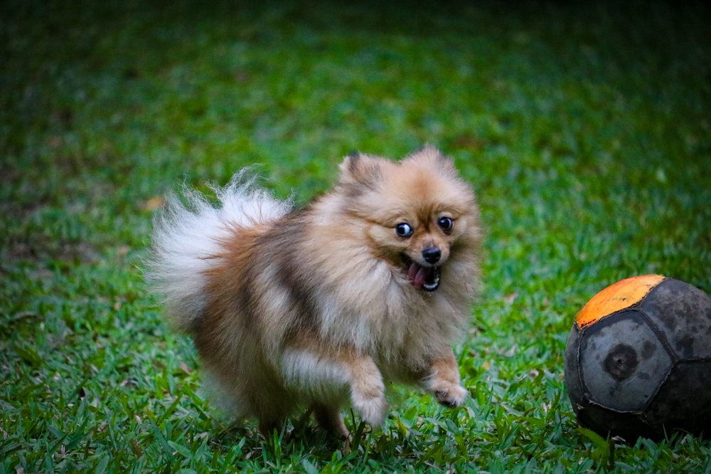 Photograph by Andreson Dutra