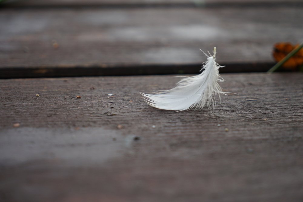 Фотография автора Ирина Зайцева