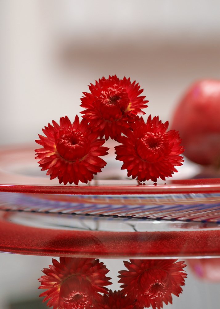 Photograph by Людмила Ефремова