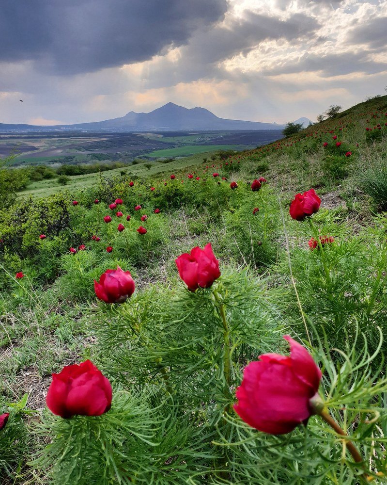 Photograph by Елена Горячева