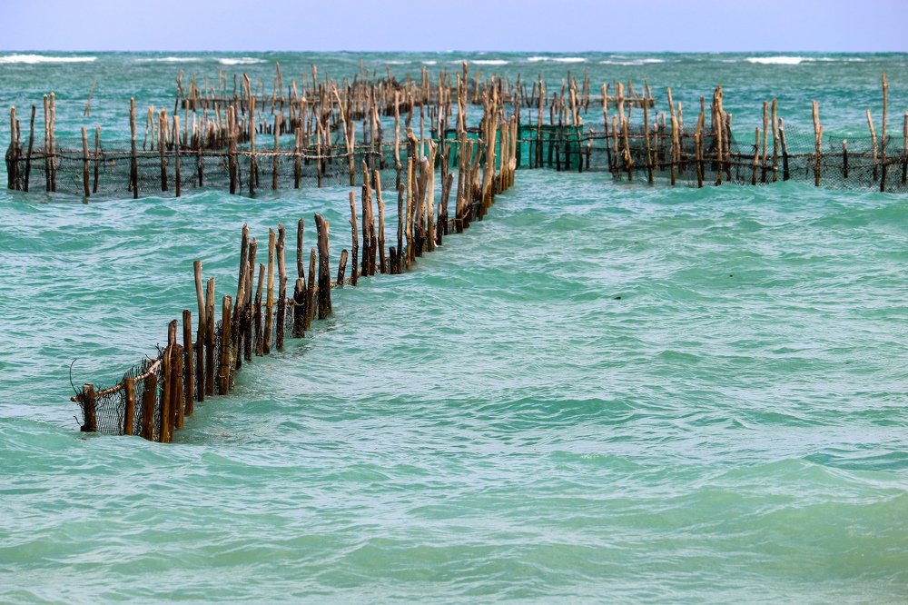 Photograph by Andreson Dutra