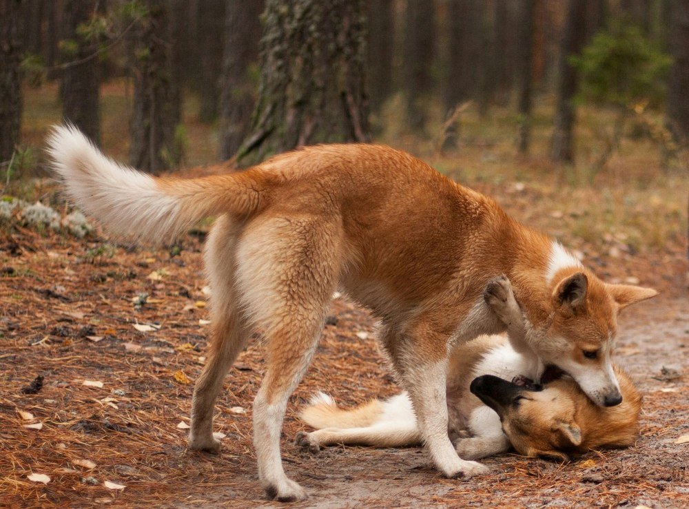 Photograph by Таня Короткова
