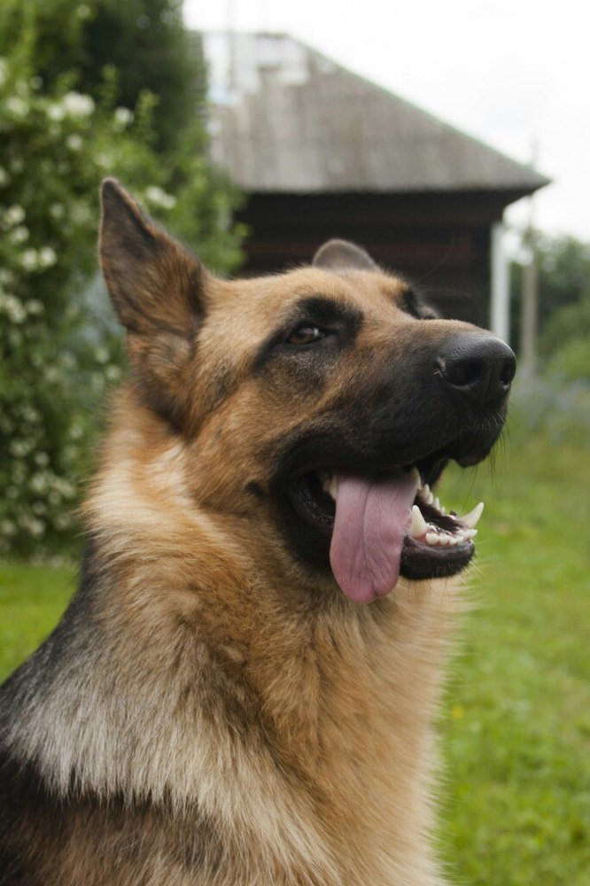 Photograph by Таня Короткова