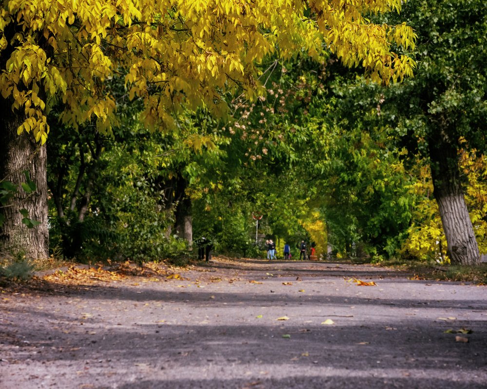 Photograph by Виталий Павлов