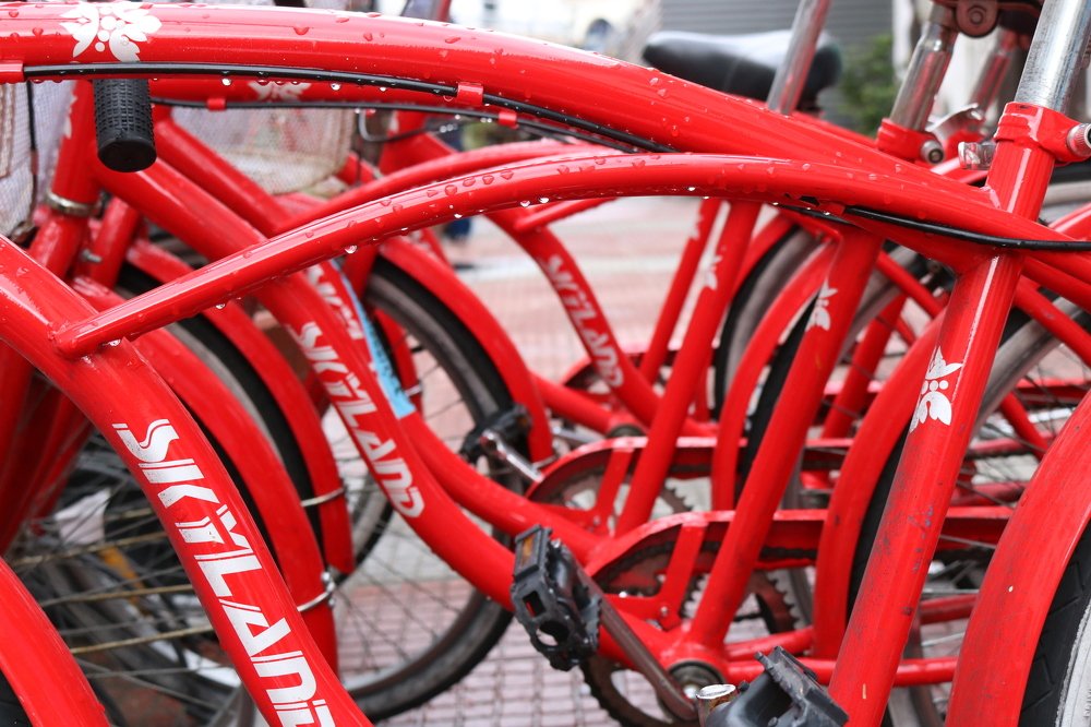 Photograph by Andreson Dutra