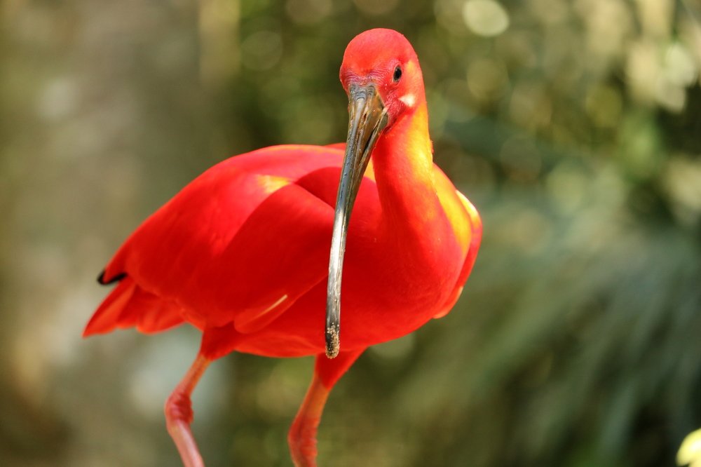 Photograph by Andreson Dutra