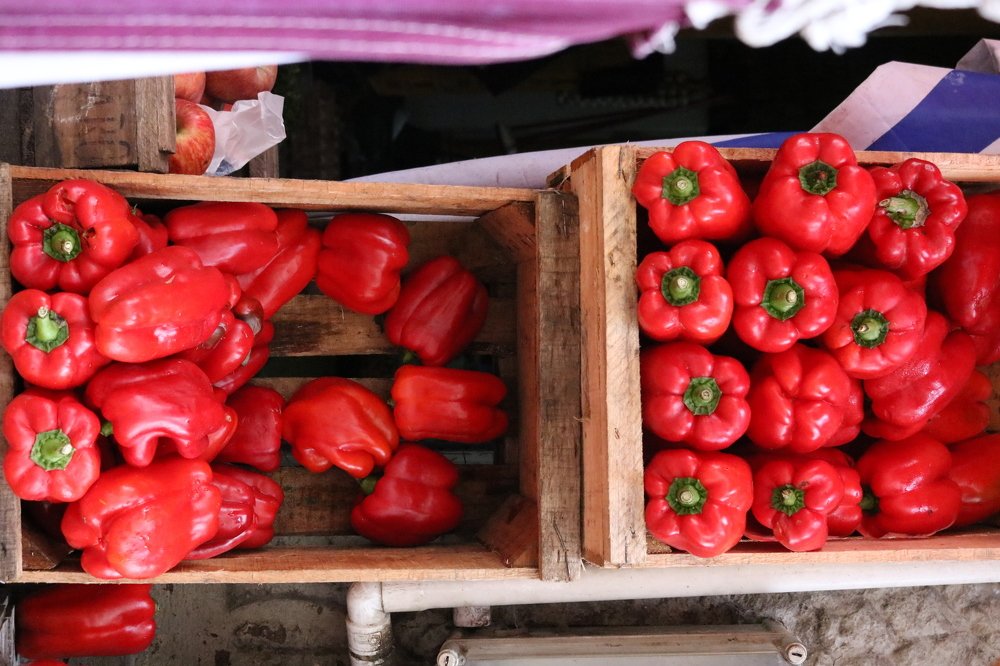 Photograph by Andreson Dutra