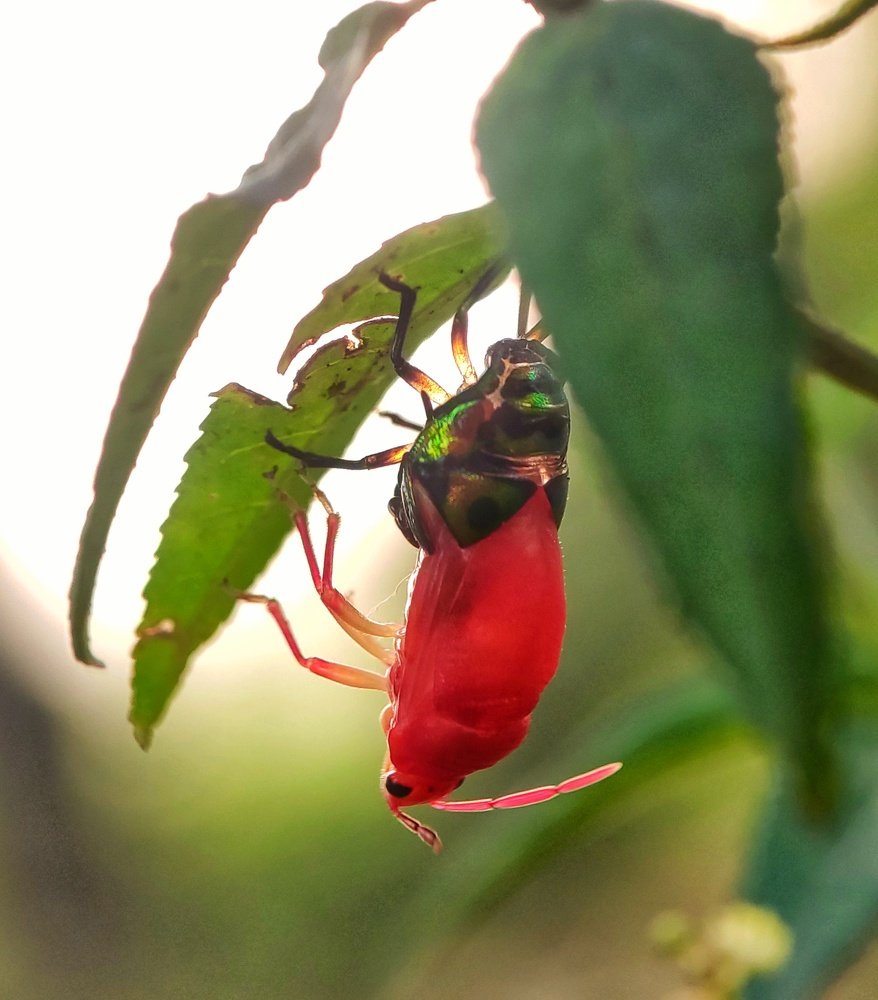 Photograph by Abhishek Manna