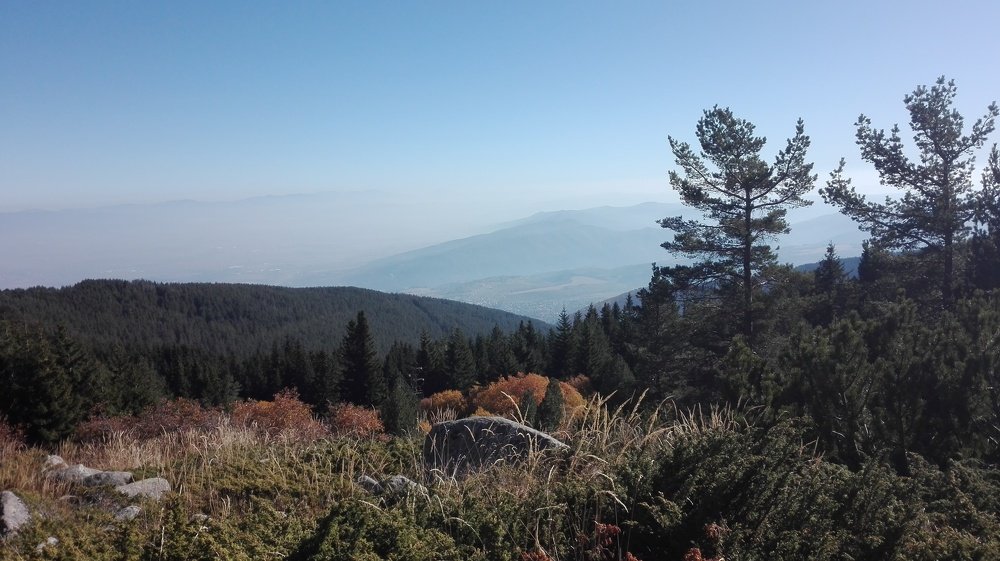 Photo #3826439