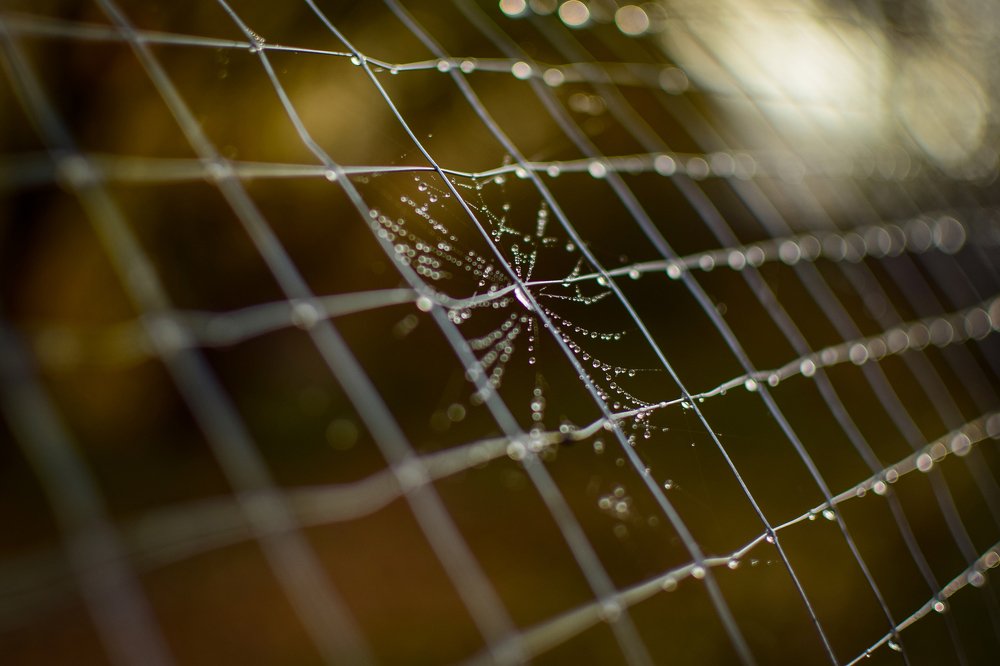 Photograph by Анастасия Донская