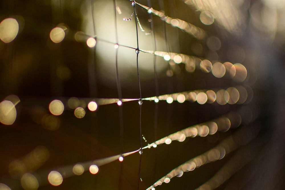 Photograph by Анастасия Донская