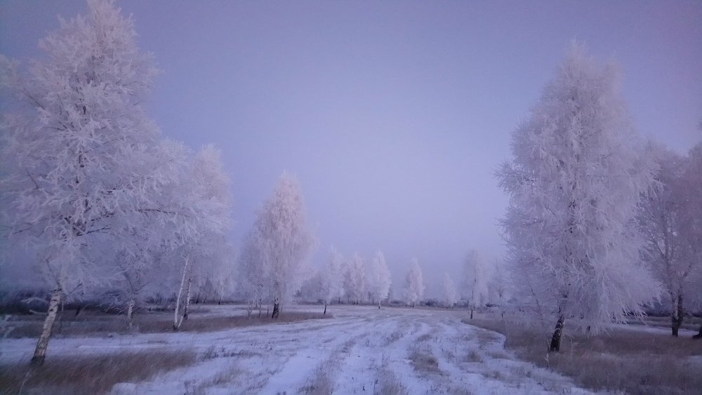 Photo #3826485