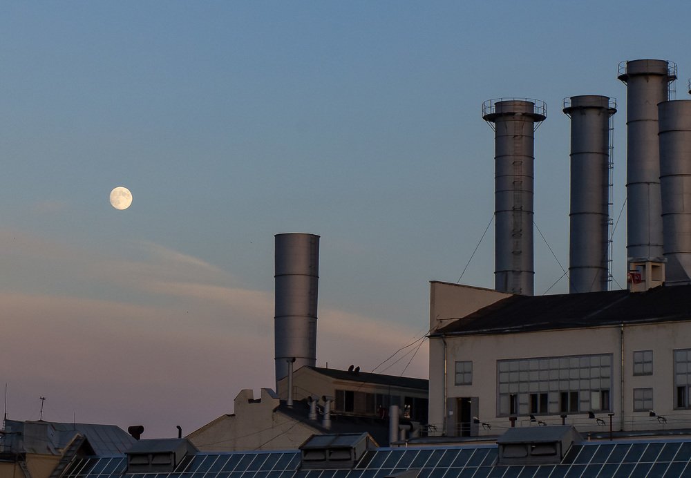 Photograph by Инна Макеева