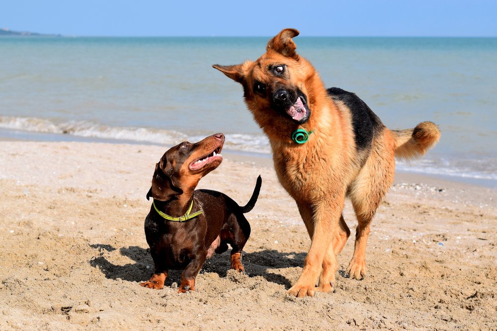 Photograph by Ольга Тенилова