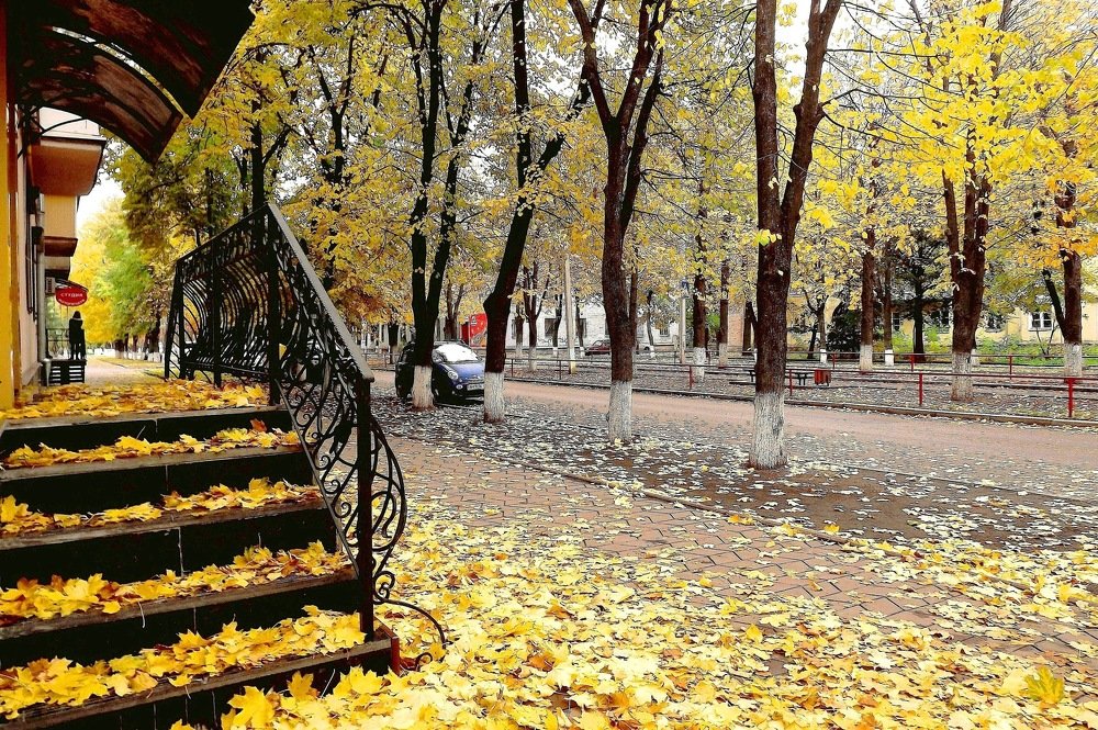 Пожелтевший проспект