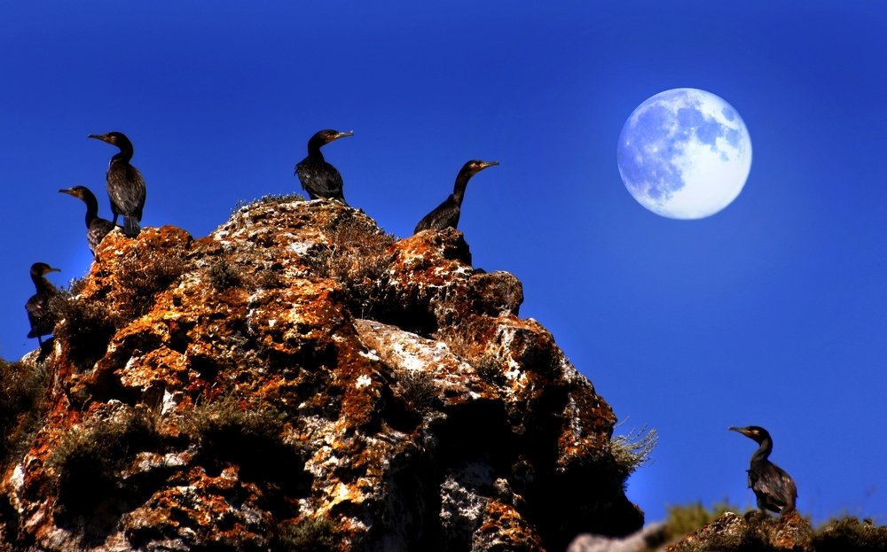 Photograph by Valentin  Kovalenko