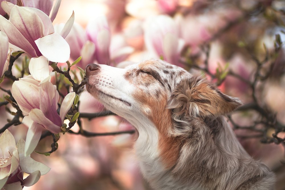 Photograph by Ve Shandor