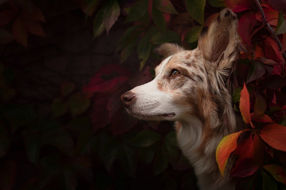 Photograph by Ve Shandor