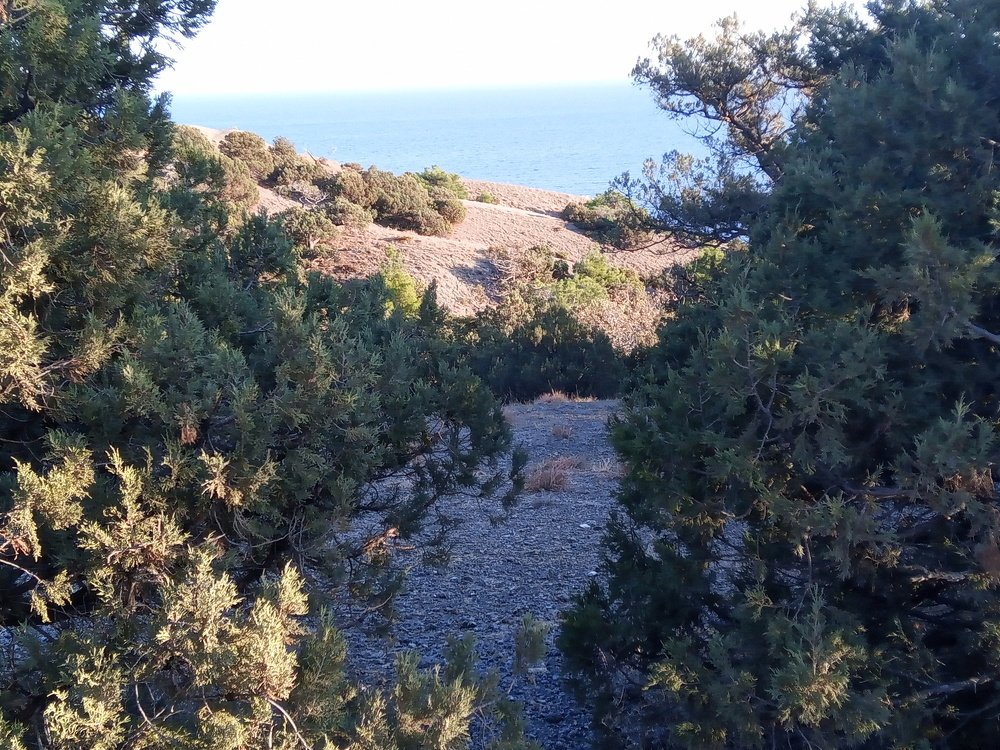 Photograph by Татьяна Перепелкина