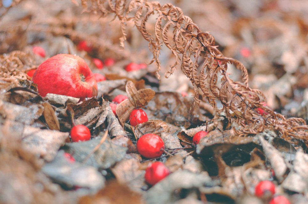 Photograph by Юлия Орлова