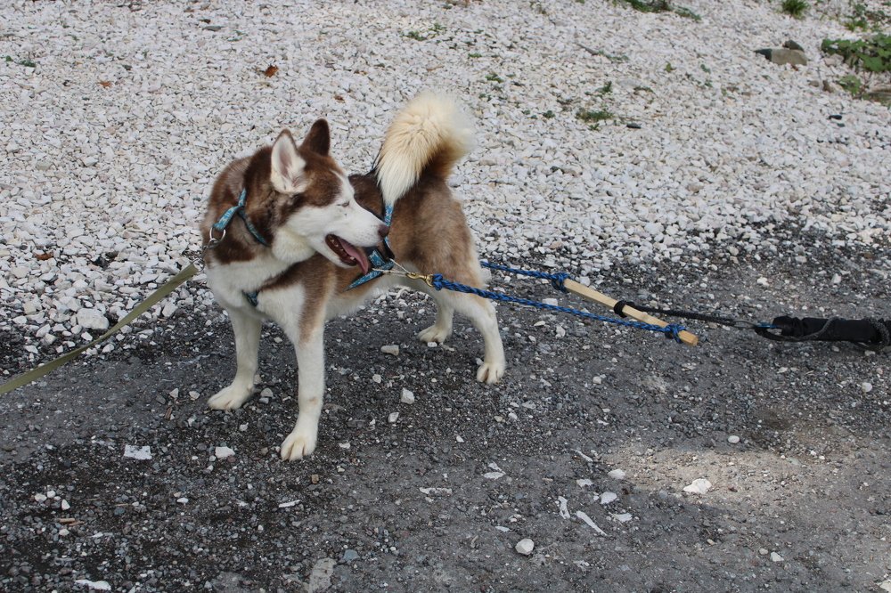 Photograph by Николай Немчанинов