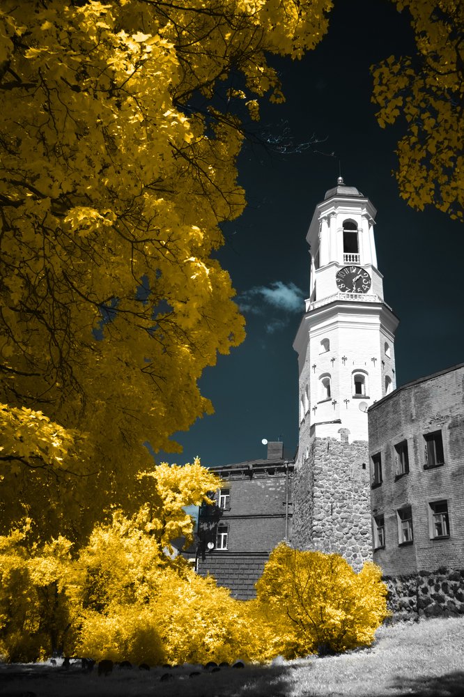 Photograph by Анна Василькова