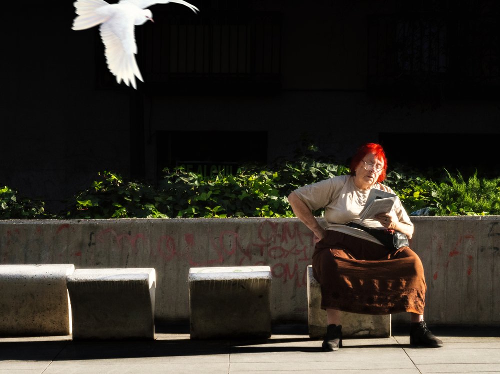 Photograph by Ольга Беккер