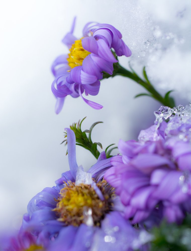 Photograph by Михаил Магид