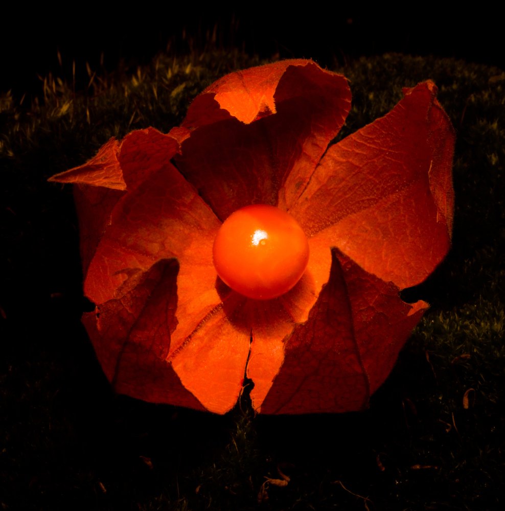 Photograph by Михаил Магид