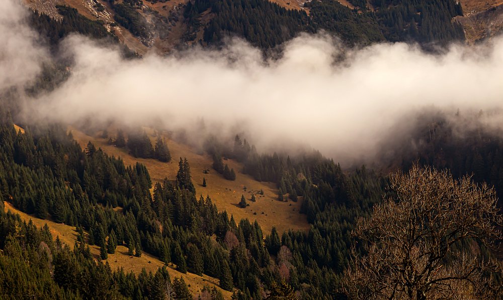 Photograph by Elena Gebert