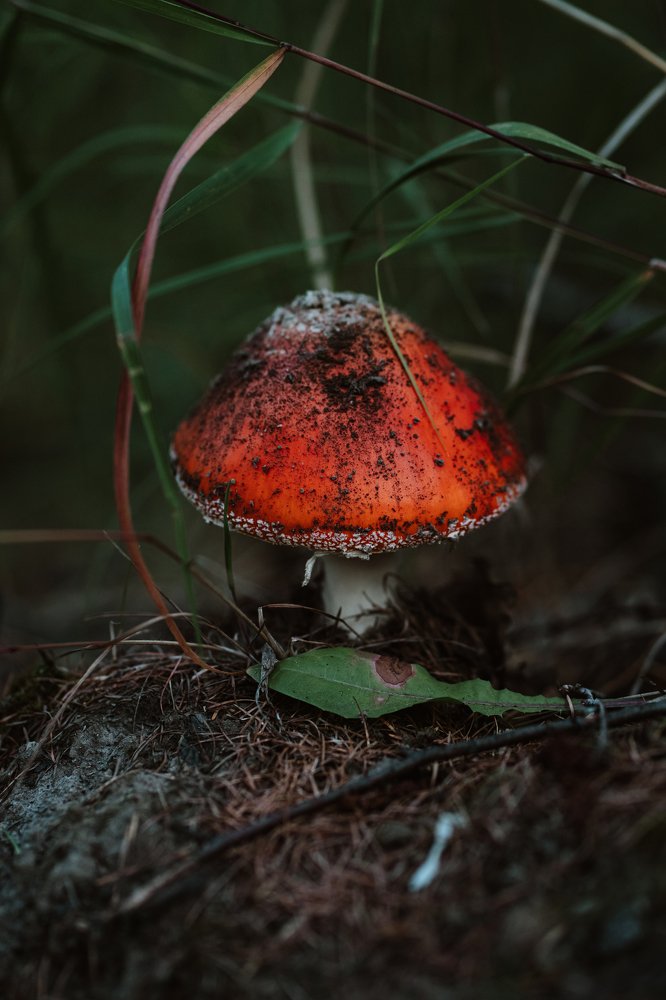 Photograph by Мария Янковская