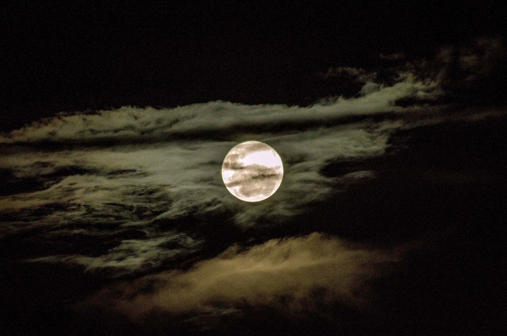 Photograph by Rosângela Verdi