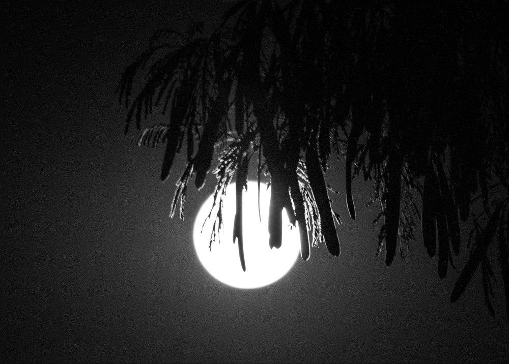 Photograph by Rosângela Verdi