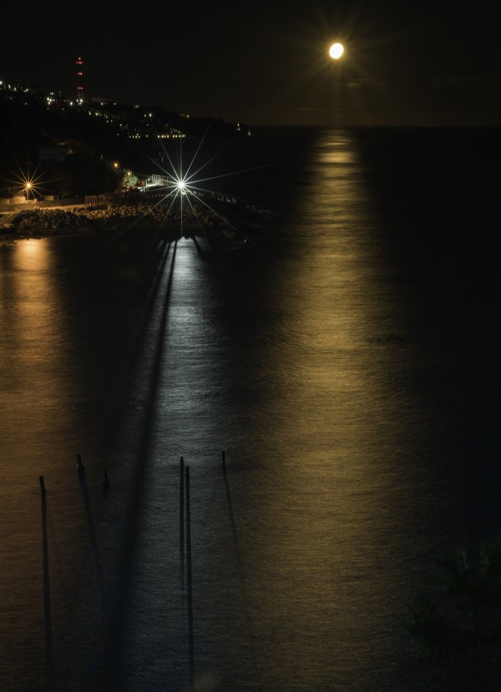 Photograph by Кассандра Мареева