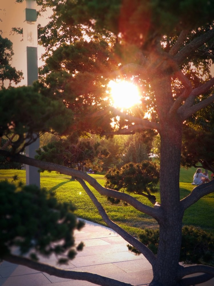 Photograph by Игорь Рябченко