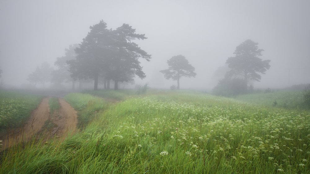 Photograph by Дарья Молчанова