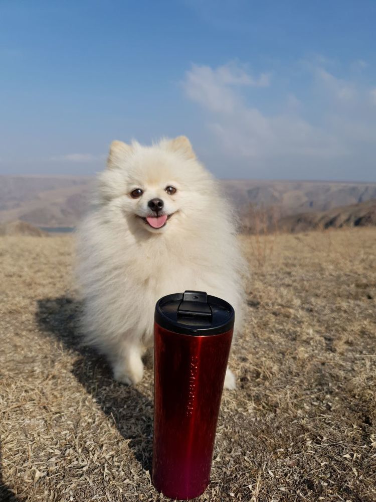 Photograph by Максим Грищенко