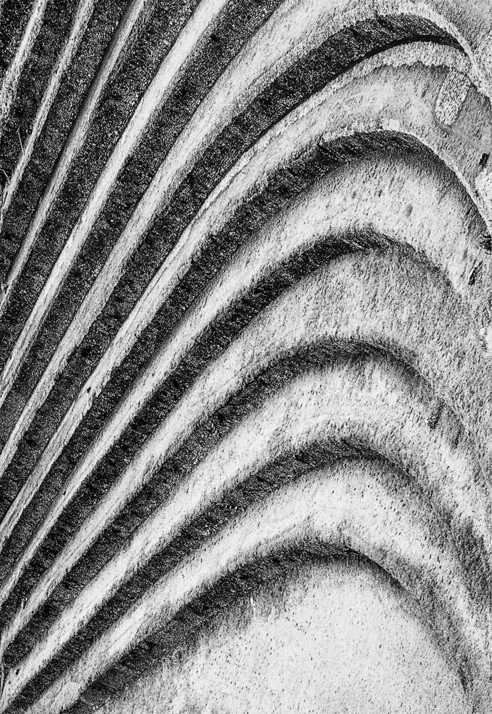 Escalera con historia