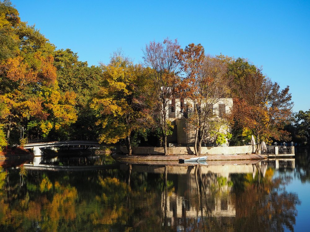 Осенняя безмятежность