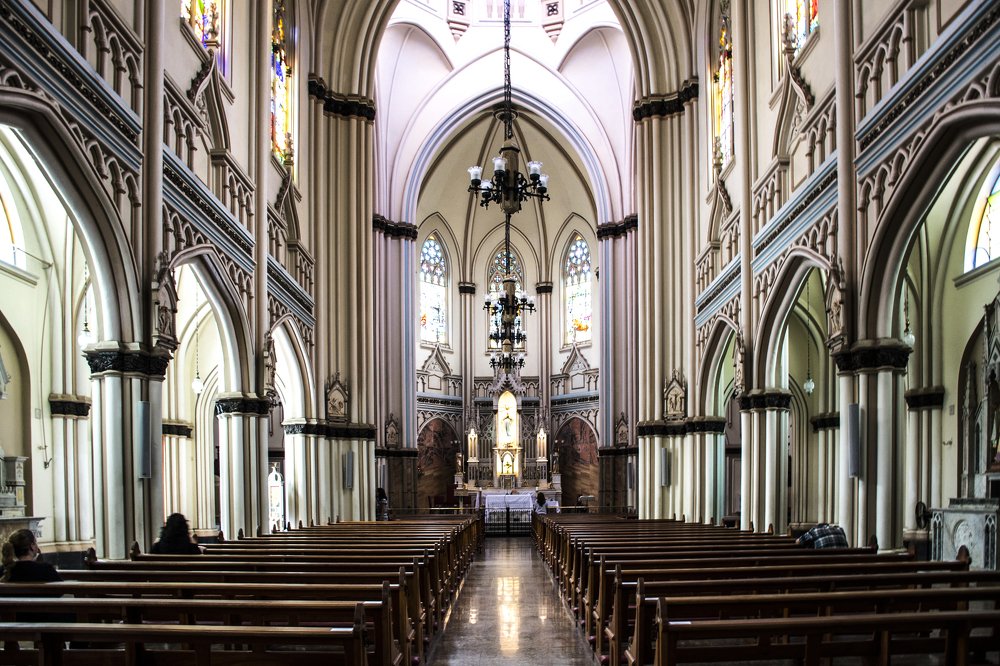 Фотография автора david xavier de carvalho