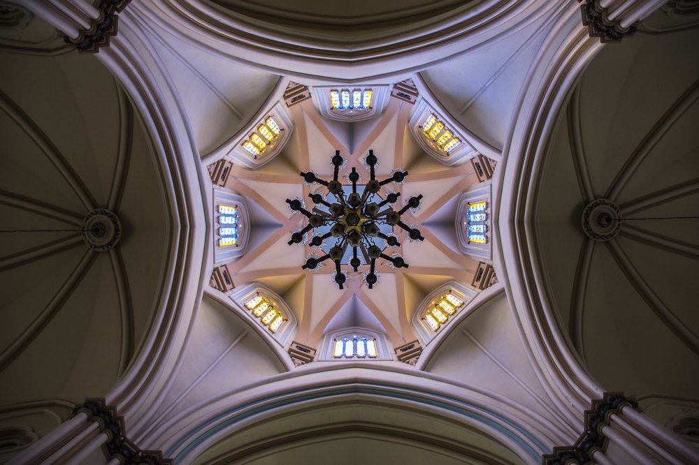 Фотография автора david xavier de carvalho