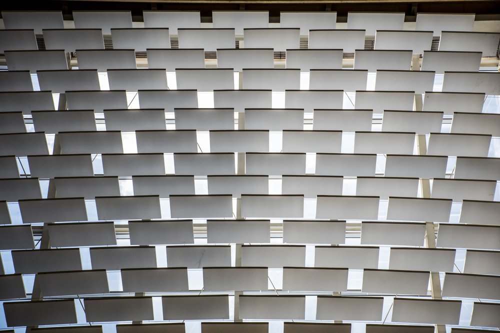 Фотография автора david xavier de carvalho